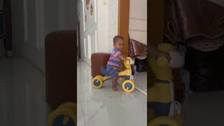 Melegus Balon Hijau