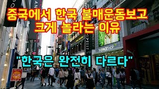 중국에서 한국 불매운동을 보고 크게 감탄하는 이유 "한국은 완전히 다르다"