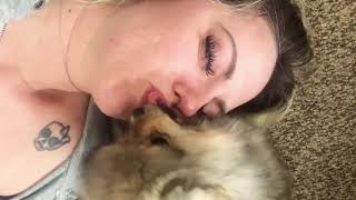 Hilarious Dog Kisses Gone Wrong Pretty Woman Cant Catch A Break Dog Kisses So Pretty Woman
