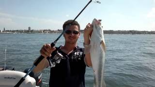 Dhiver la pêche sur ripousa