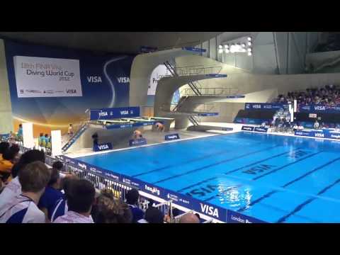 Fina World Cup 3 metre synchro final team USA