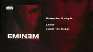Watch Eminem Monkey See Monkey Do video
