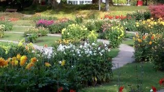 Watch Rex Gildo Der Sommer Ist Vorbei video