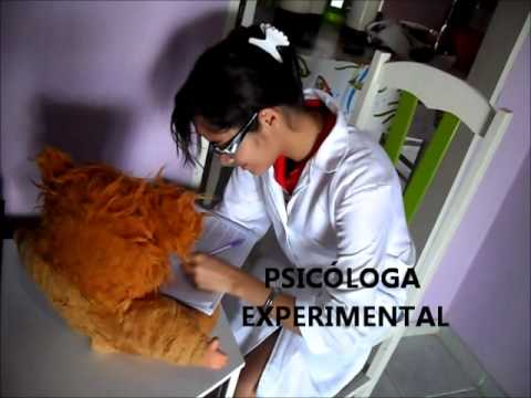 EJEMPLOS DE PSICOLOGIA EXPERIMENTAL ejemplos de psicologia experimental: