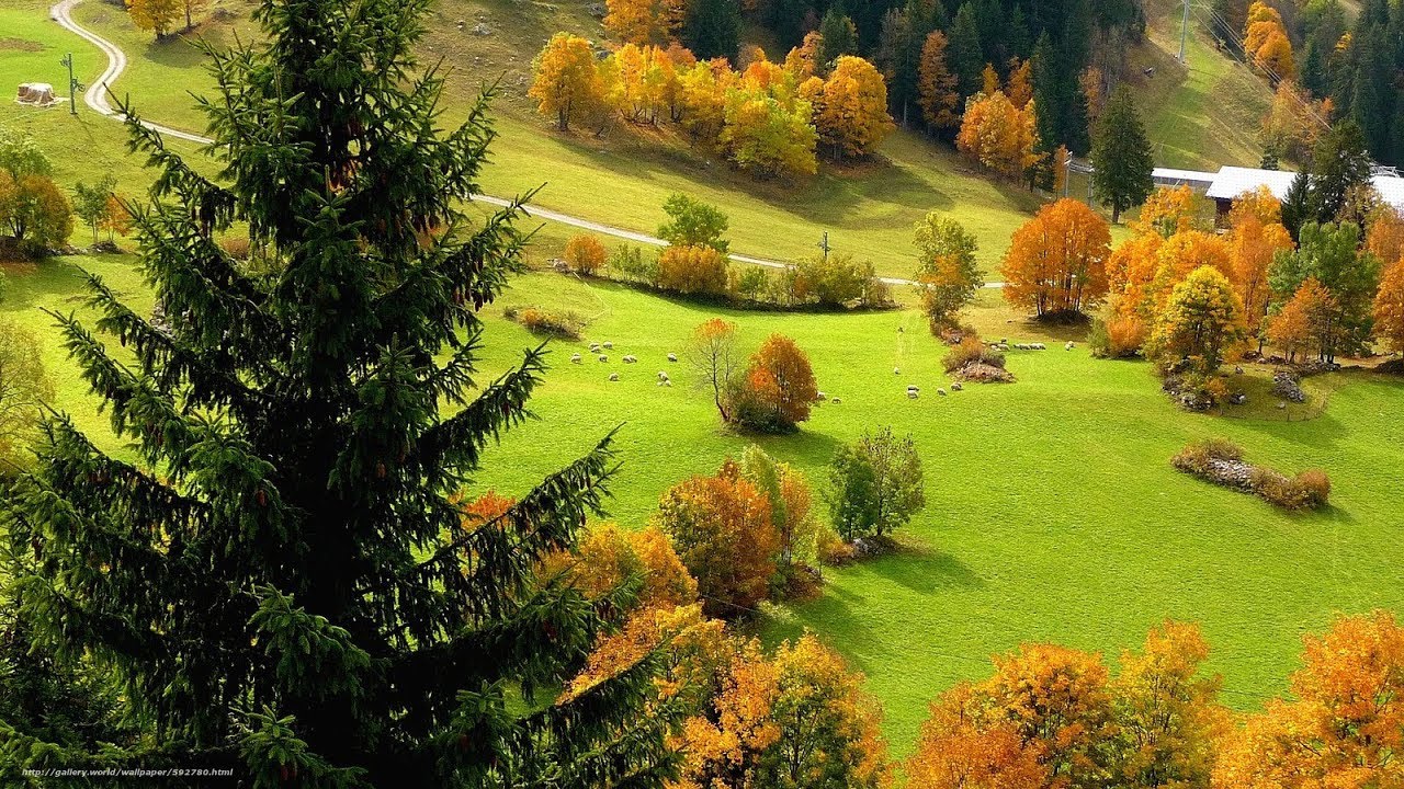 Ранняя осень
