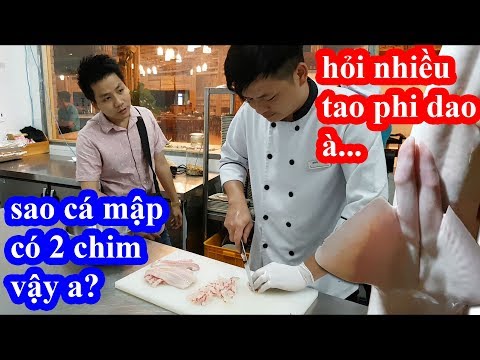 Lần đầu ăn cá mập khổng lồ hai lúa vào giám sát đầu bếp nhà hàng chế biến và cái kết cười ngất