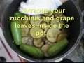 ورق عنب و كوسا محشي بزيت الزيتون 