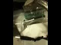 Ice pack HD recovery