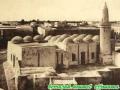djerba hbib jbali