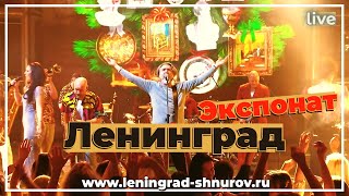 Ленинград — Экспонат (Live 2024)