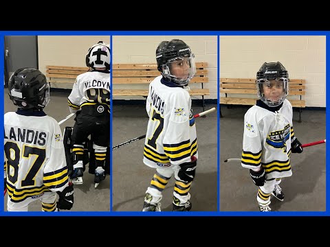 EMMANUEL GOALS SHORT VIDEO IN ICE HOCKEY