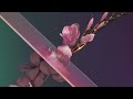 Video Flume - Never Be Like You feat. Kai