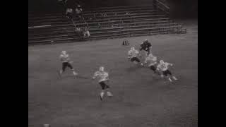 LyCFmltK_L8 Video Image