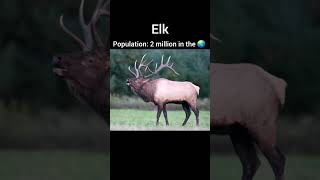 Global Population Of Animals Part 1
