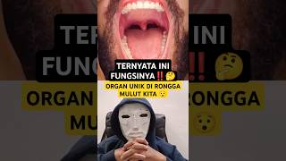 Fungsi Organ Ini Di Rongga Mulut