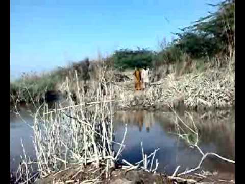 Machli ka shikar 1