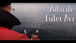 Zoka ile Lüfer Avı ( bluefish hunting ) / AVCIADAM