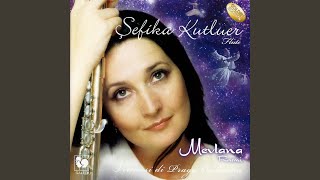 Concertino For Flute And String Orchestra Iii. Presto