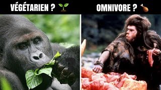 L'HOMME EST-IL VÉGÉTARIEN 🌱 ?@jean-brice Thivent - J'alimente ma santé
