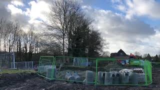 tree felling wantage