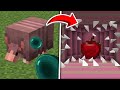 What's inside new mobs 1.20 update in Minecraft?