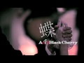 Acid Black Cherry / 「蝶」PV Short Ver.