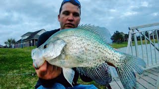 Catching PB CRAPPIE from the DOCK!