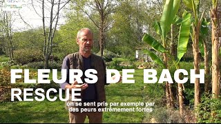 Rescue : Fleurs de Bach, le remède d'urgence (stress et angoisse)-Explications par François Deporte