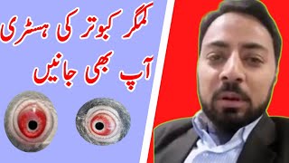The Kamagar Kabootar Ki Pehchan - The Indian Game That You Must Play