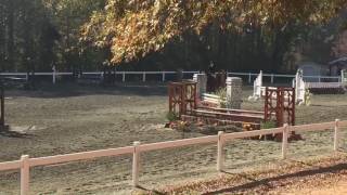 Carley Gray This Equitation First Time Riding Unique Car