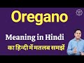 Oregano meaning in Hindi | Oregano ka matlab kya hota hai