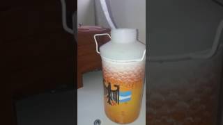 Choperas Scheitler Con Inflador Para Presion, Mercedes Bs As