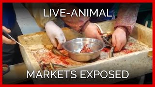 PETA Asia Live-Animal Markets Media Edit