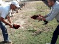 1trujillos1