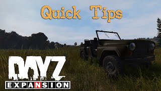 Some Quick Dayz Expansion Tips