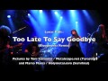 Lunar Path - "Too Late To Say Goodbye (Bloodworks Remix)"