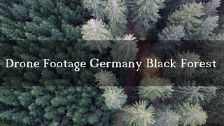 2K Drone Footage of German Black Forest