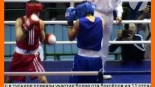 Российские Боксеры В Грозном