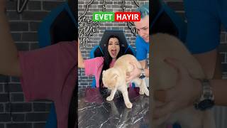 Gözde Akgün Evet Mi Hayir Mı? Tiktok Akım Videosu