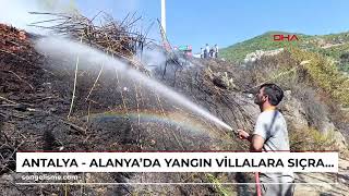 Antalya - Alanyada Yangın Villalara Sıçramadan Söndürüldü