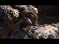 Are we alone? - youtube