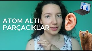 Hafıza Teknikleriyle Eğlenerek Öğreni̇n Fizik 12. Sınıf Atom Altı Parçacıklar Ders