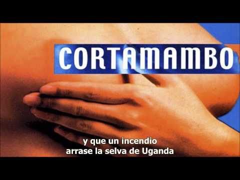 Maten Las Ballenas Video