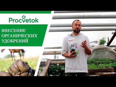 Органические удобрения для участка, сада и огорода – советы К.С.Х наук