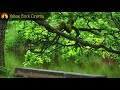 Relaxing Flute Music, Soothing Music, Relax, Meditation Music, Instrumental Music to Relax, ☯3314