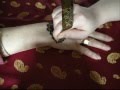 Arcahenna, application du henné