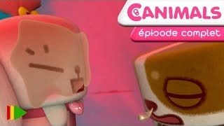Canimals Ato Has C0Vd When He Came Back From His Vacation In China