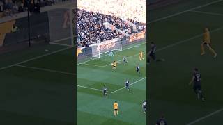 M1vrKahebFs Video Image