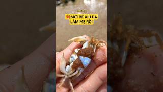 Thương Quá Mới Bé Xíu Tuổi Ăn Tuổi Lớn Đã Phải Làm Mẹ Rồi