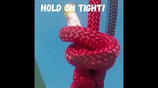 Abseil Spinnaker Tower